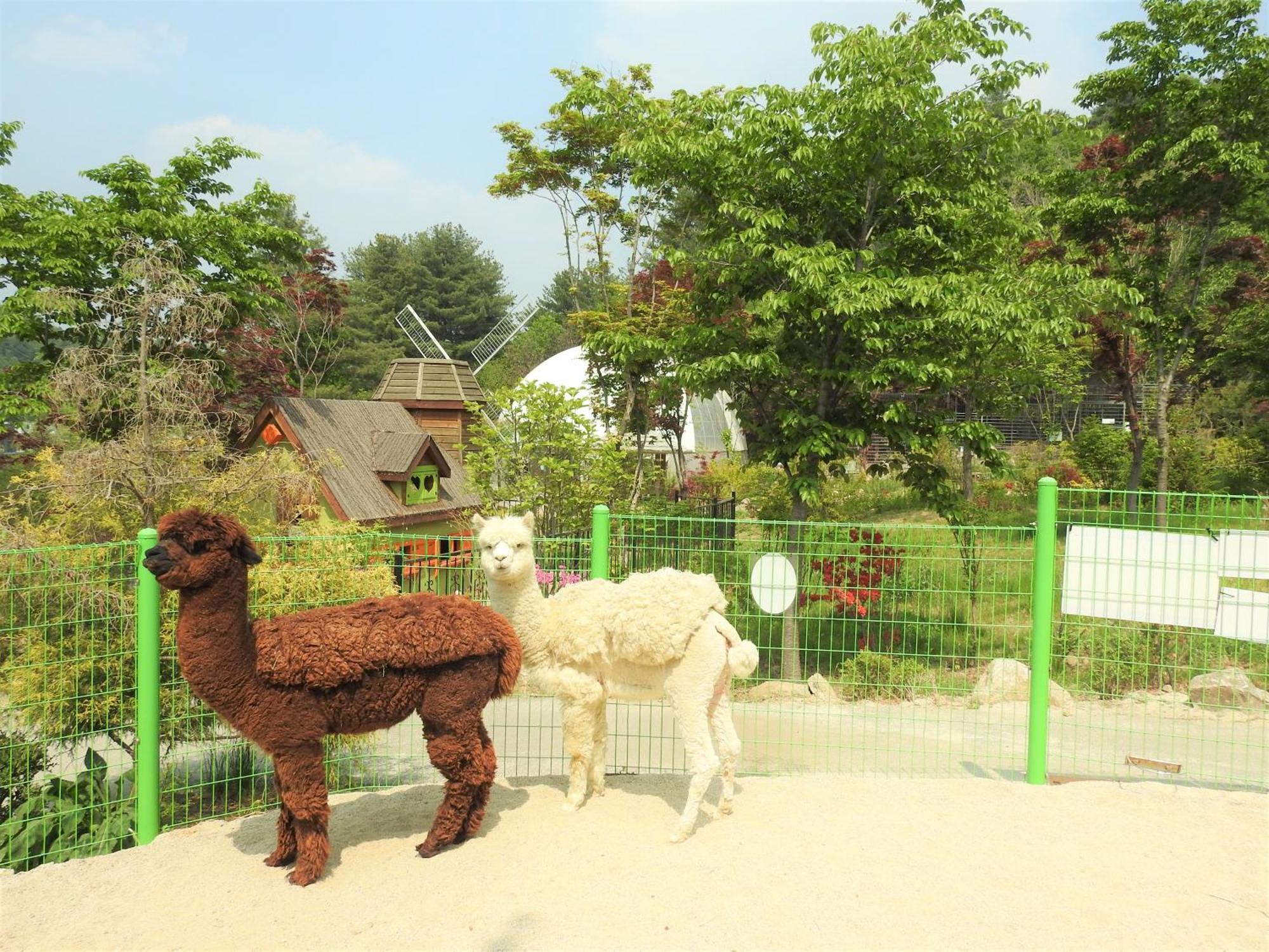 Kensington Resort Gapyeong Extérieur photo