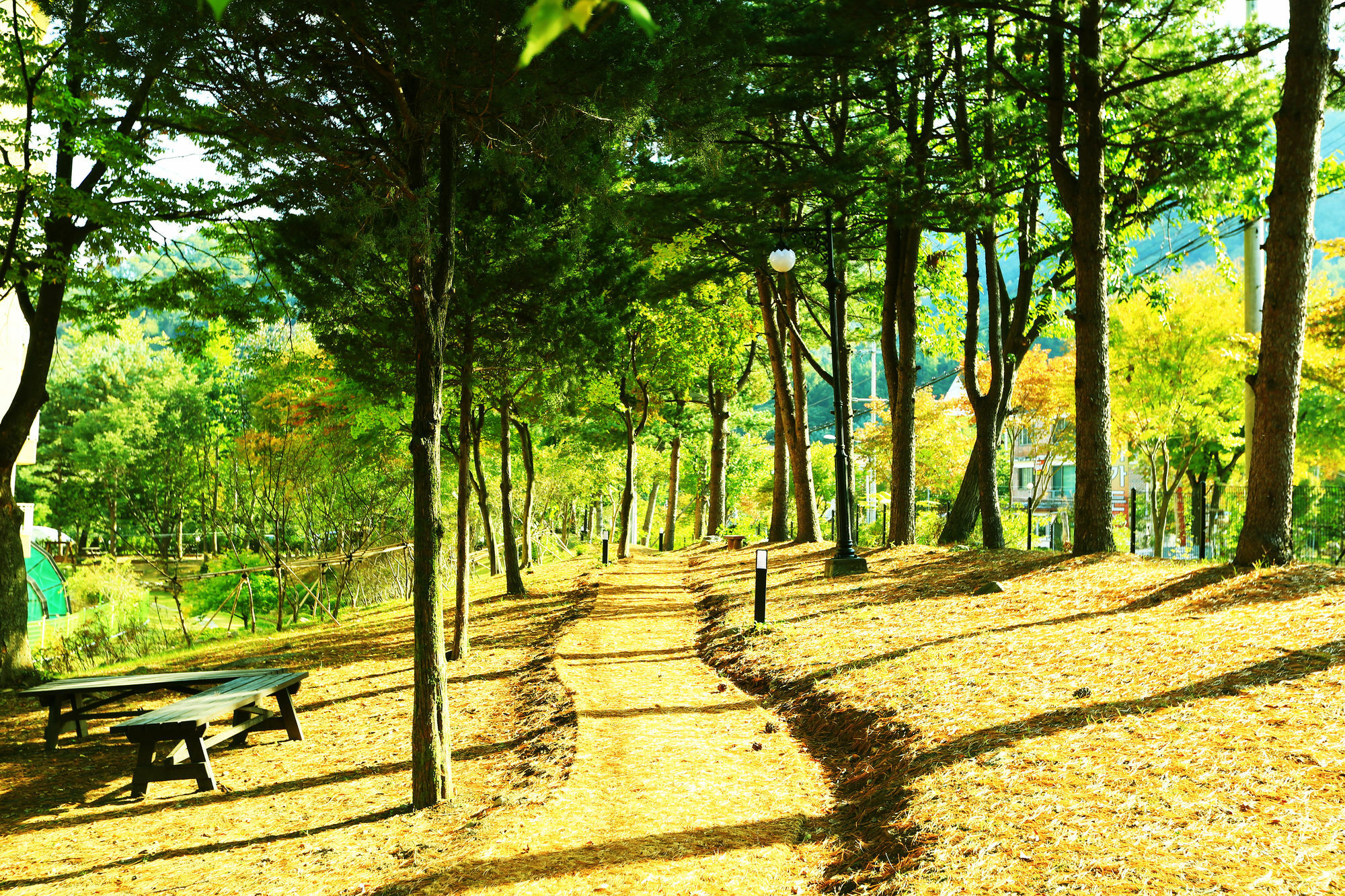 Kensington Resort Gapyeong Extérieur photo